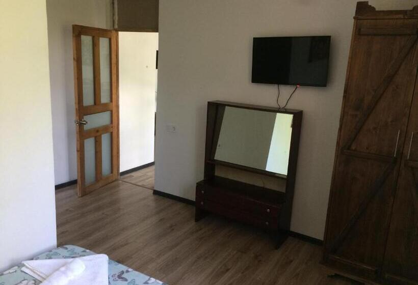 اتاق اکونومی, Villa Portina