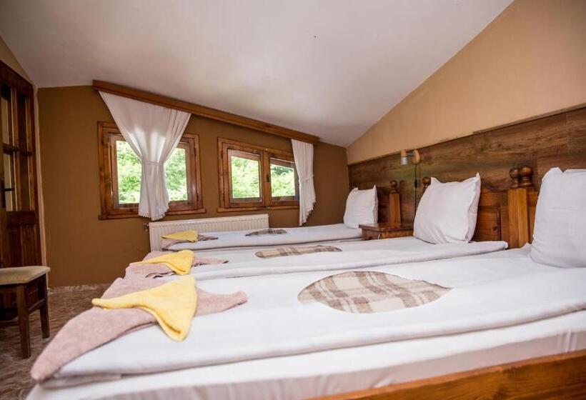 带泳池的标准三人间, семеен хотел свети георги