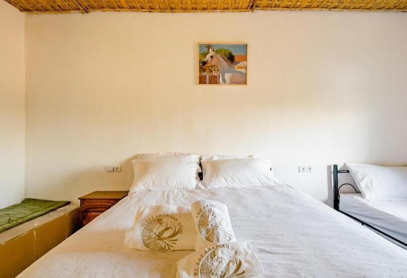 سوییت خانوادگی, Elaaz Horse Farm