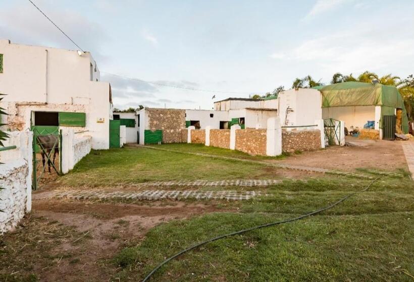 سوییت خانوادگی, Elaaz Horse Farm