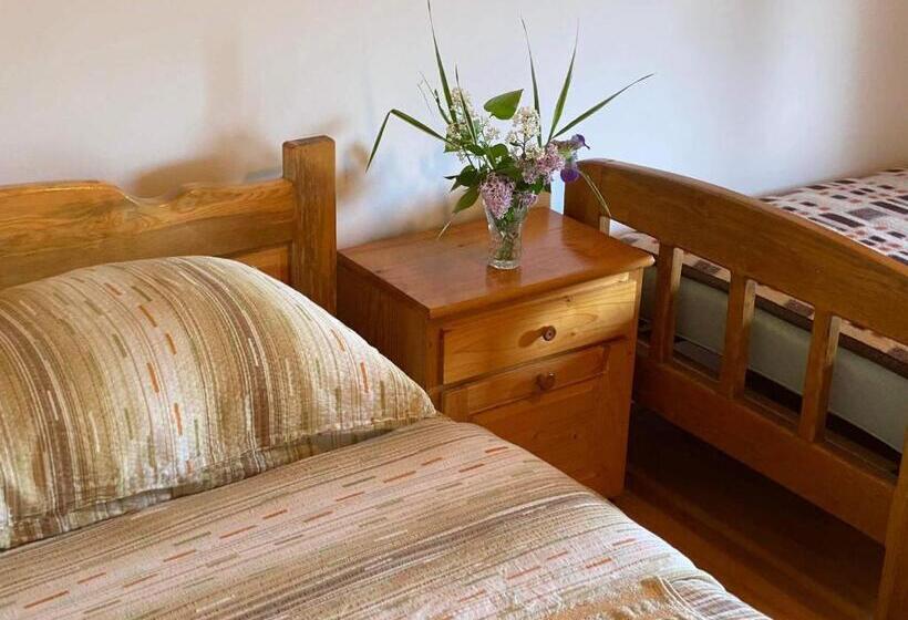 اتاق استاندارد, Mystic Forest Hostel