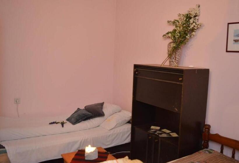 اتاق سوپریور, Mystic Forest Hostel