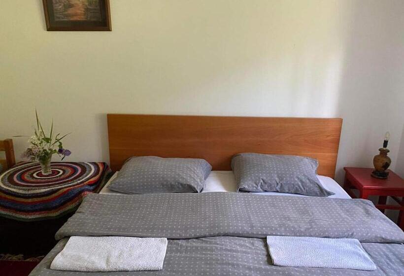 اتاق سوپریور, Mystic Forest Hostel