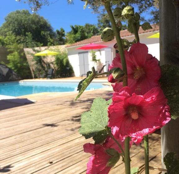 标准间带游泳池, Le Soleil Do Ré