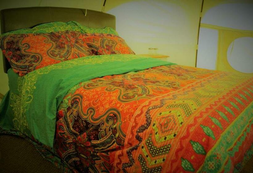 Standard Tent, Loire Valley Llama Farm Stay