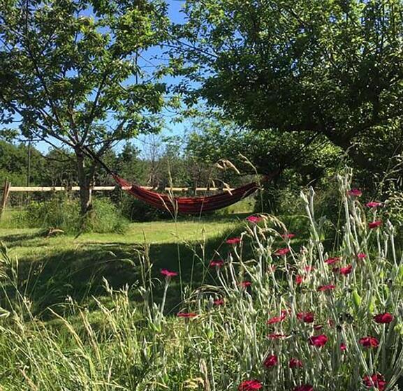 Standard Tent, Loire Valley Llama Farm Stay