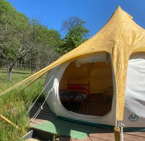 Standard Tent, Loire Valley Llama Farm Stay