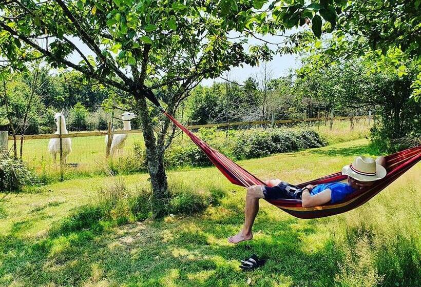 Стандартный Номер Кровать Кинг, Loire Valley Llama Farm Stay