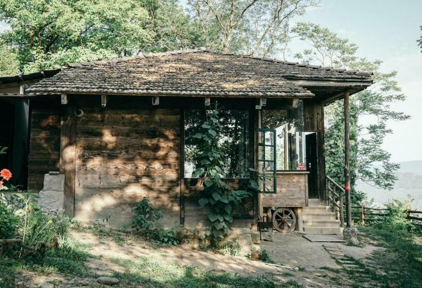 اتاق عادی, Wine Space