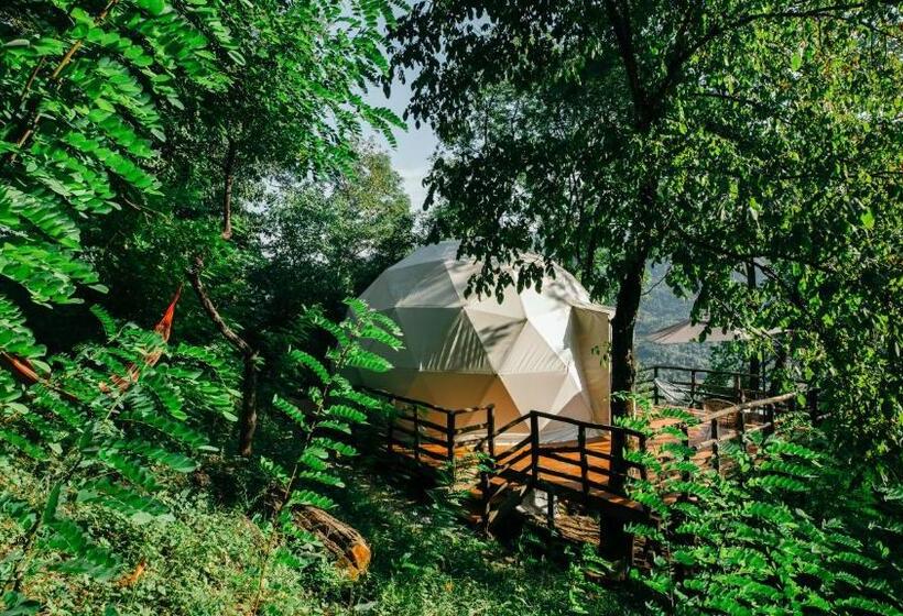 چادر با خدمات رفاهی استاندارد, Wine Space