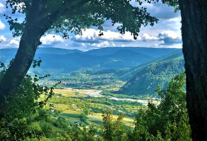 چادر با خدمات رفاهی استاندارد, Wine Space