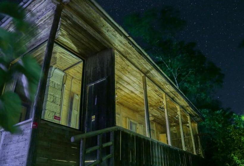 ویلای 3 خوابه, Wine Space