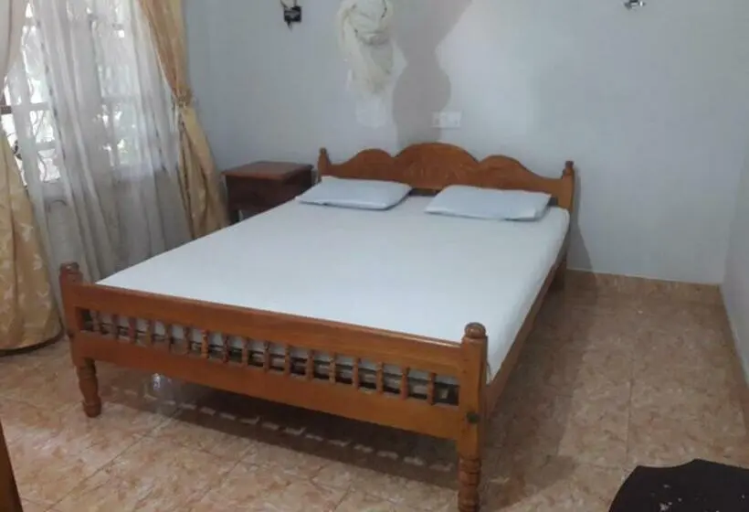Economy-huone, New Land Guest House