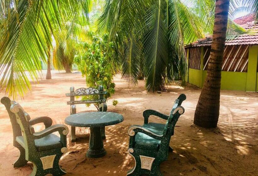 이코노미 룸, New Land Guest House