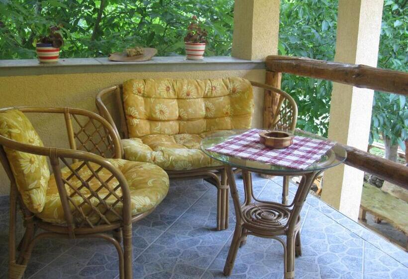 اتاق استاندارد با چشم‌انداز کوهستان, Apartments Izvor Lisine