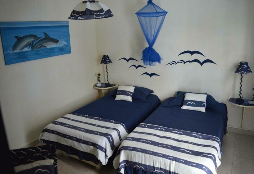 Quarto Estandar, Yacht Club Sal
