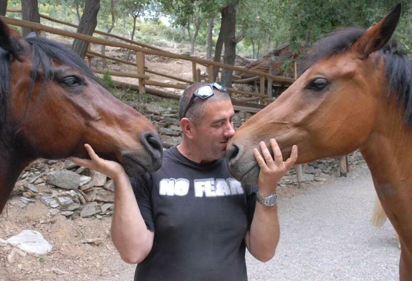 إستوديو قياسى مزودة بتراس, Gli Angeli Agriturismo