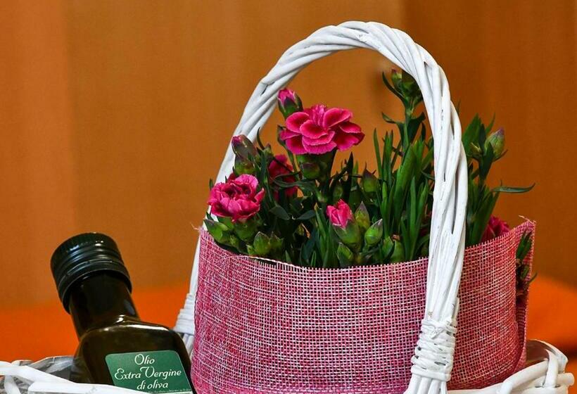 إستوديو قياسى مزودة بتراس, Gli Angeli Agriturismo