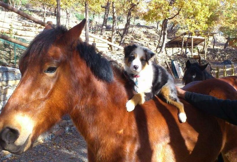 إستوديو قياسى مزودة بتراس, Gli Angeli Agriturismo