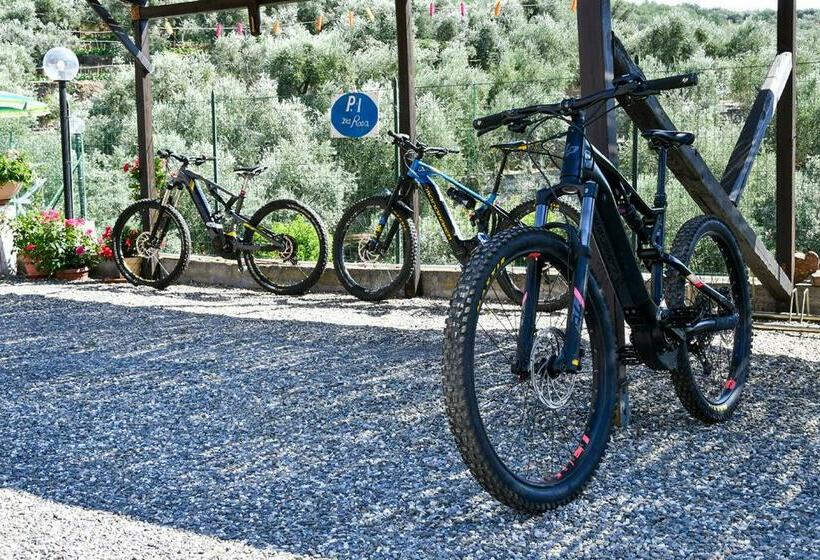 إستوديو قياسى مزودة بتراس, Gli Angeli Agriturismo