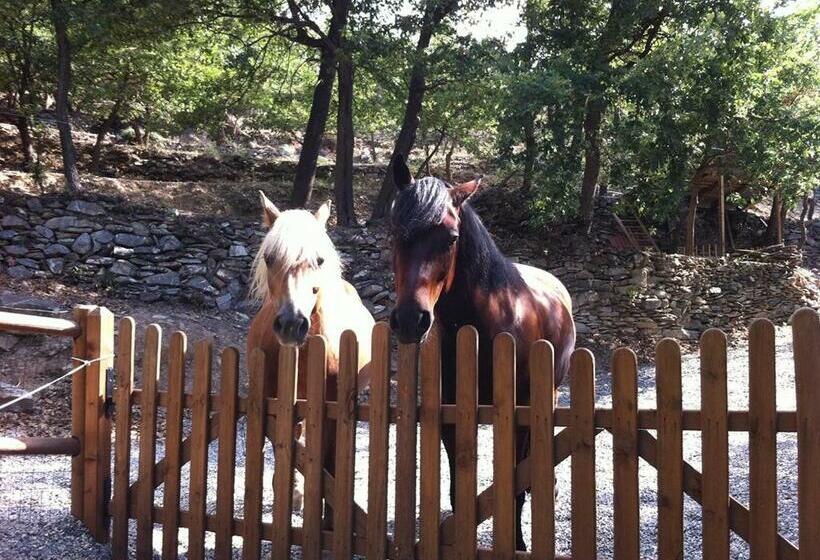 إستوديو قياسى مزودة بتراس, Gli Angeli Agriturismo