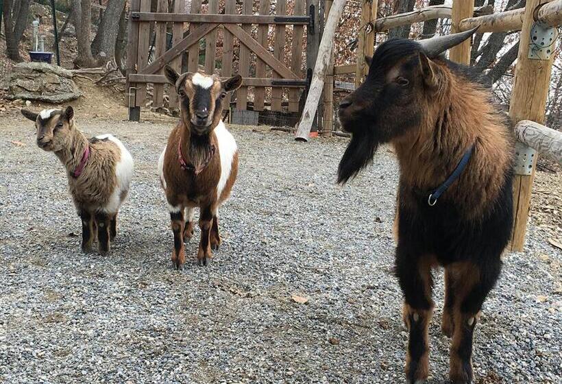 إستوديو قياسى, Gli Angeli Agriturismo