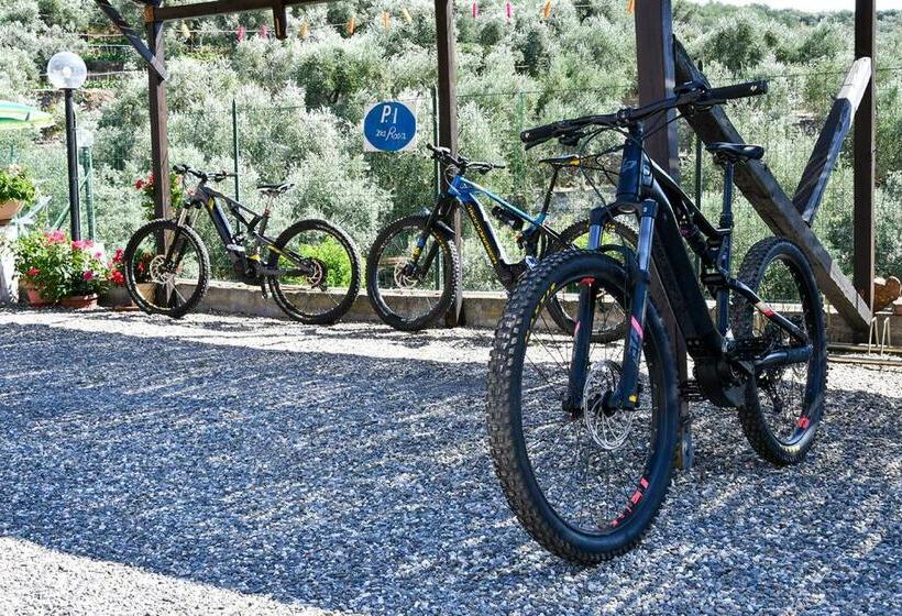 Студия Стандарт, Gli Angeli Agriturismo