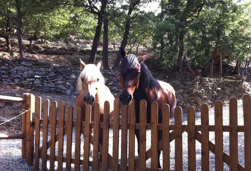 غرفة قياسية مزوَّدة بتراس, Gli Angeli Agriturismo