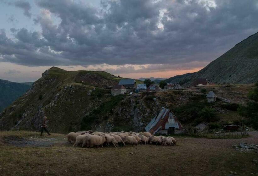 اتاق کلاسیک چهارنفره, Guesthouse Letnja Basta