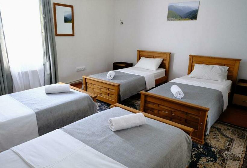 تختخواب در اتاق مشترک, Nazy S Guest House