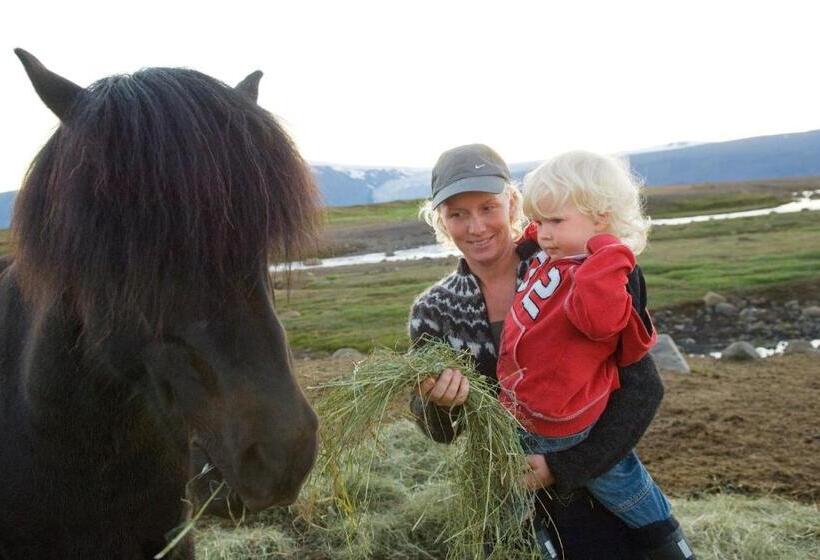 اتاق استاندارد چهارنفره با سرویس بهداشتی مشترک, Geysir Hestar