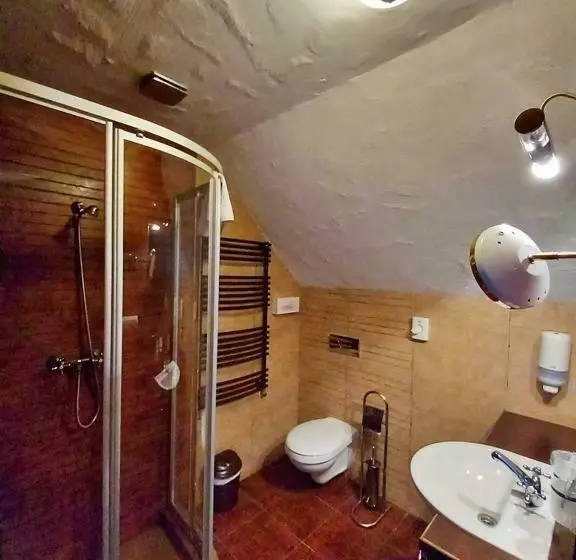 ２ダブルベッドのスタンダードルーム, Sári Csárda Panzió