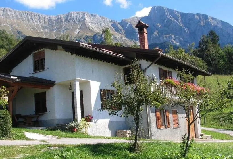 آپارتمان 1 خوابه با چشم‌انداز, Tourist Farm žvanč