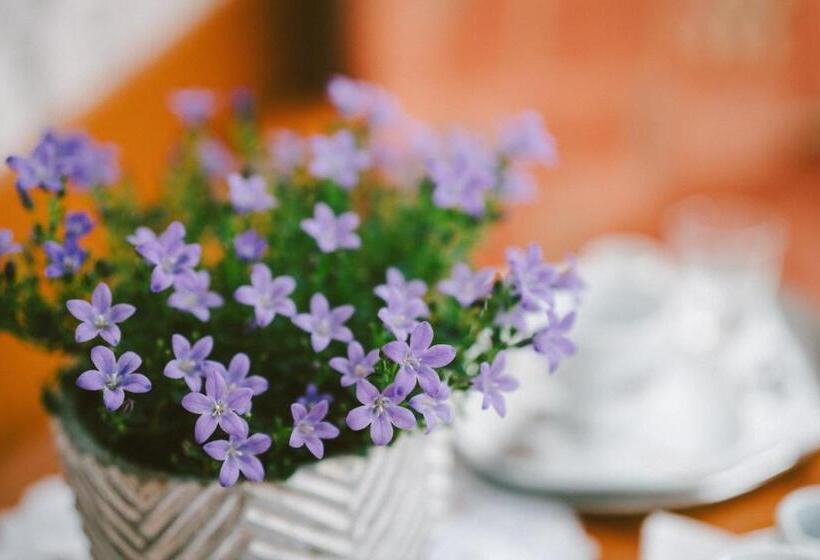 غرفة أساسية, U Lípy