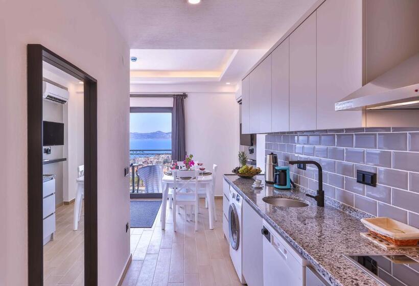 침실 1개 바다 전망 아파트, Lobelya Suites