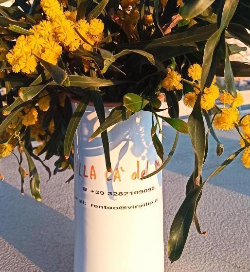 غرفة قياسية مطلّة علي الحديقة, Byb Cà Del Mar