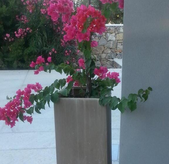 غرفة ديلوكس, Byb Cà Del Mar