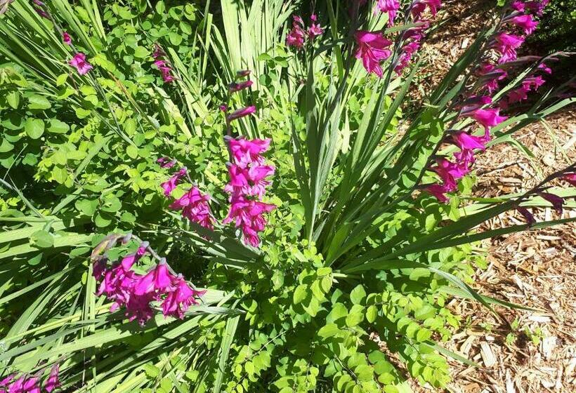 Номер Стандарт, Maison D Hôtes Afrika Du Queyroux