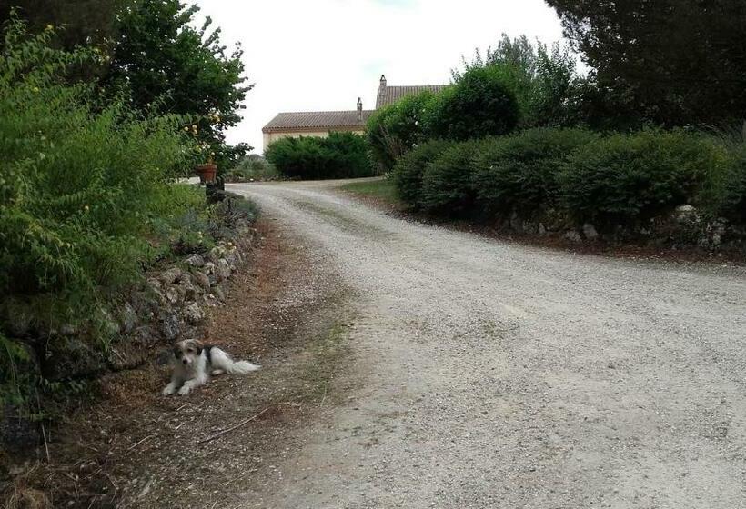 Номер Стандарт, Maison D Hôtes Afrika Du Queyroux