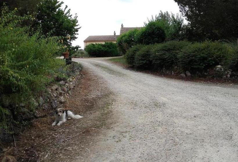 家庭洋房, Maison D Hôtes Afrika Du Queyroux