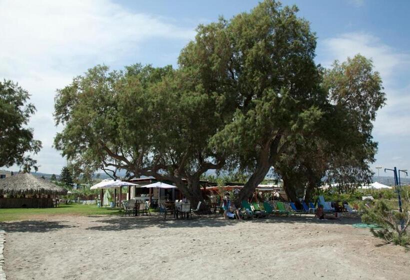 Апартаменты Deluxe 1 Спальня, Gold Apartments