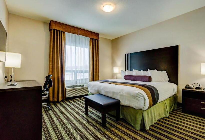 חדר סטנדרט עם מיטת קינג, Best Western Plus Drayton Valley All Suites