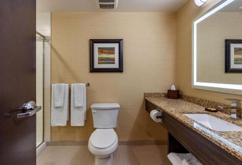 חדר סטנדרט עם מיטת קינג, Best Western Plus Drayton Valley All Suites