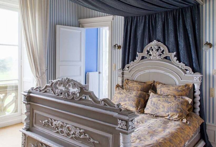 סוויטה דלוקס, Château Des Tesnières