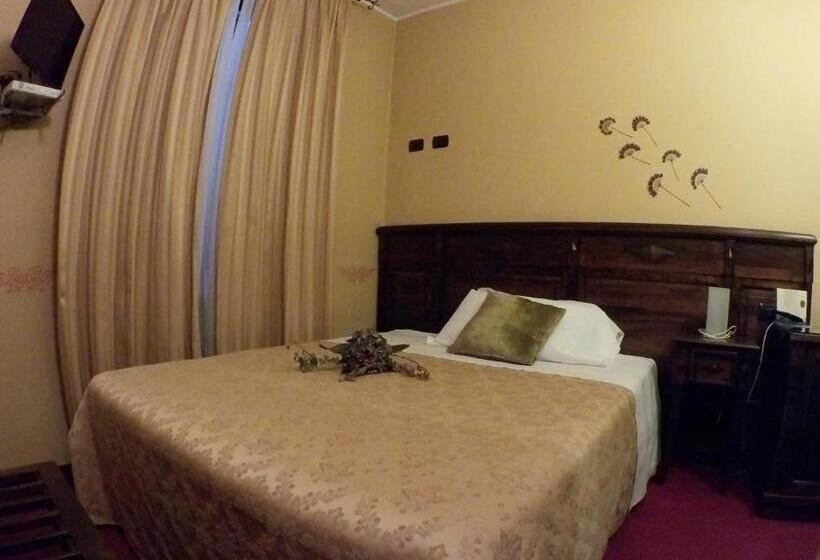 标准间, Damian Park Hotel Delle Magnolie