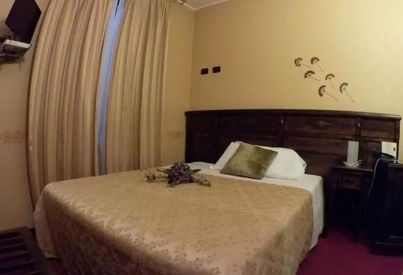 スタンダードルーム, Damian Park Hotel Delle Magnolie