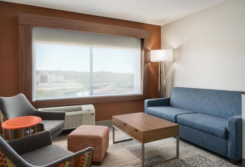 سوئیت با تخت بزرگ, Holiday Inn Express & Suites Duluth North   Miller Hill, An Ihg