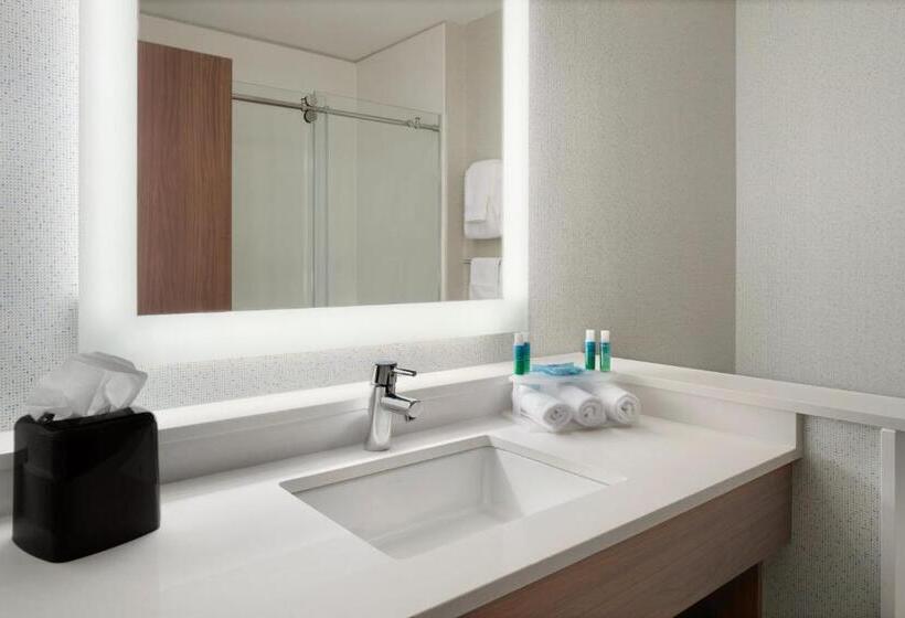 سوئیت با تخت بزرگ, Holiday Inn Express & Suites Duluth North   Miller Hill, An Ihg