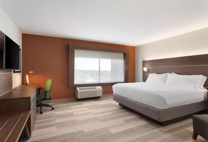 身障者適用キングサイズベッドルーム, Holiday Inn Express & Suites Duluth North   Miller Hill, An Ihg