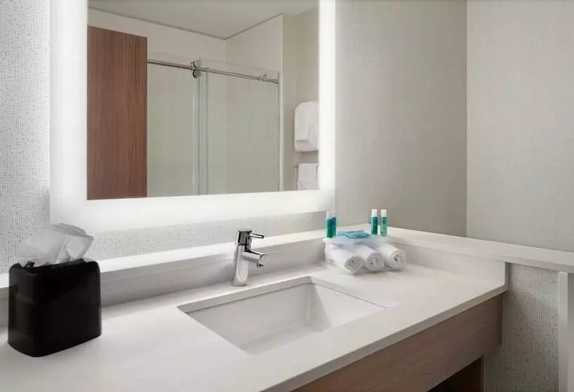 スイート, Holiday Inn Express & Suites Duluth North   Miller Hill, An Ihg